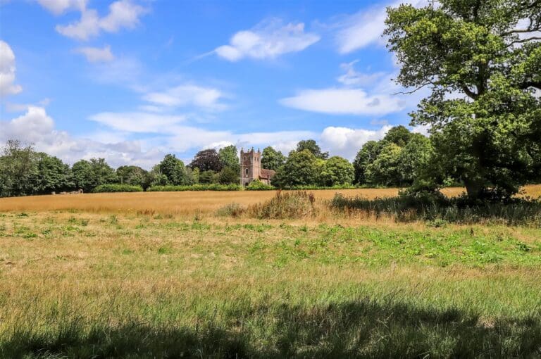 Churchfield Copse and Gooslers Pond