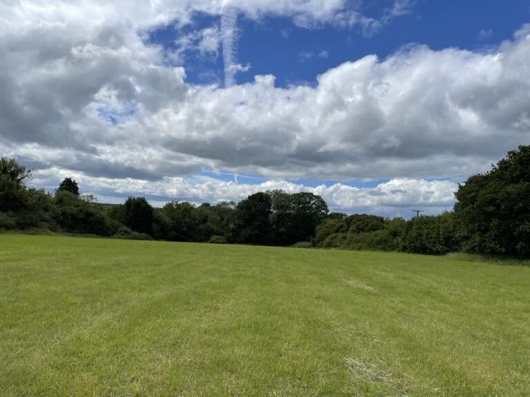 Binley
